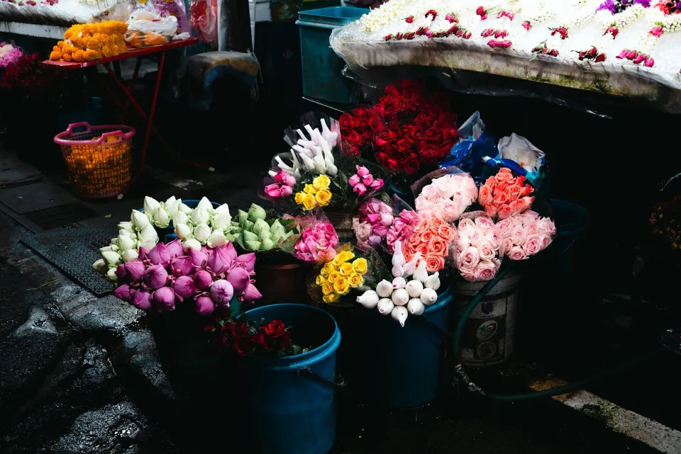 Mẫu đang có tại tiệm